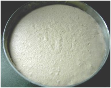 Idli batter